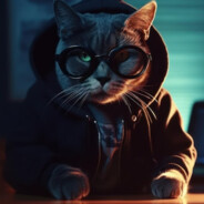 кот сон
