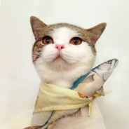 请来点人皇队友