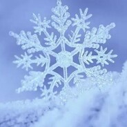 天堂无土雪不埋花