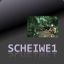 Scheiwe1