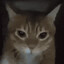 glorp