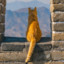 一只胖橘猫