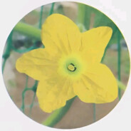 Hypothermic Plant