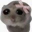 Wiji