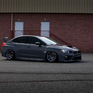 Scout Training CS.money