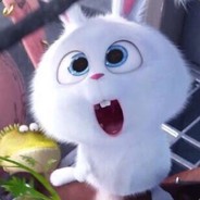 时光旧巷你与猫