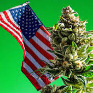 Chora nao vagabunda!