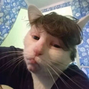 我是小心超人，一不小心就超人