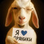 Avatar of player Oftacom