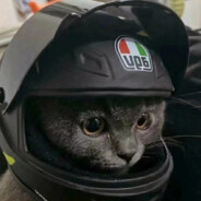 垂死病中惊坐起！