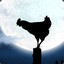 Moon_Chicken