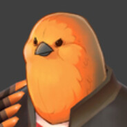 Birb