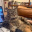 Kalda_126