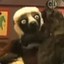 Zaboomafoo