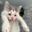 bysinka's avatar