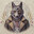 coyote