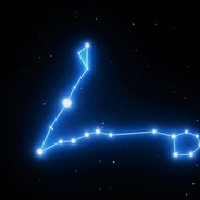 СОЗВЕЗДИЕ КИШЕЧНИКА