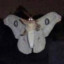 Sazzierknight23