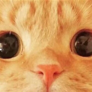 极限干拉快速白给