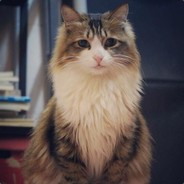 小娘子好生面善