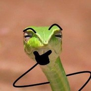 一条咸鱼胖头鱼