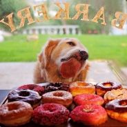 Bobby Kebab - steam id 76561197960331139