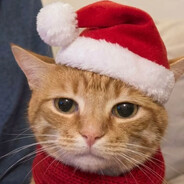 春田花花幼稚园