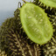 Wild Cucumber