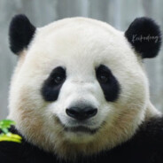 尿是屌的眼泪，屁是屎的叹息