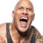 the rock
