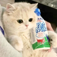 想吃媛媛的软饭