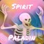 SpiritPaladin
