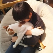 正义伙伴哈士奇