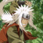 Jiraiya