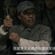 高级特工穿山甲