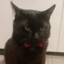 Mr Stinky
