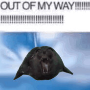 Zucchini