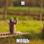 Mocь-_-