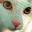 mwnci's Avatar