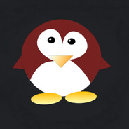 R3dtux - steam id 76561197965568550