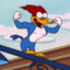 PAJARO LOCO