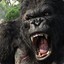 KINGKONG