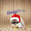 ◄Hedgehog►