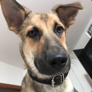 ๋ - steam id 76561198032505758