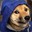 Doge of Venice