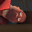 bob