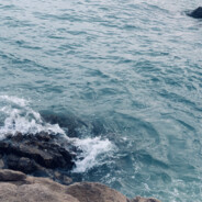 郝立春哥哥同意我的*****