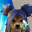 Not_campe