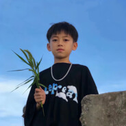 狂拽龙少Diao霸天