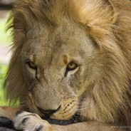 Putti_Tang's avatar